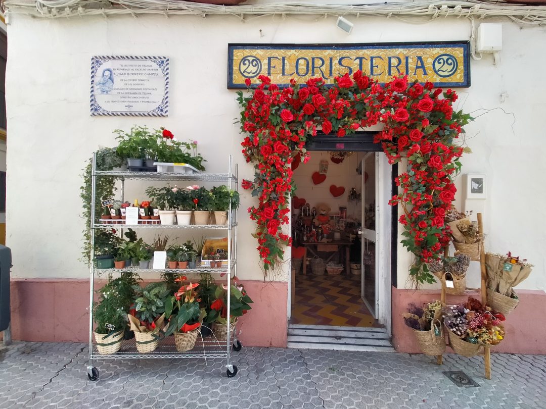 Floristería Triana – Álvaro Guerrero